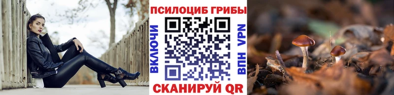 Галлюциногенные грибы Psilocybine cubensis Кинель